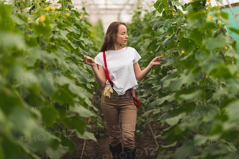 Woman taking care plants greenhouse