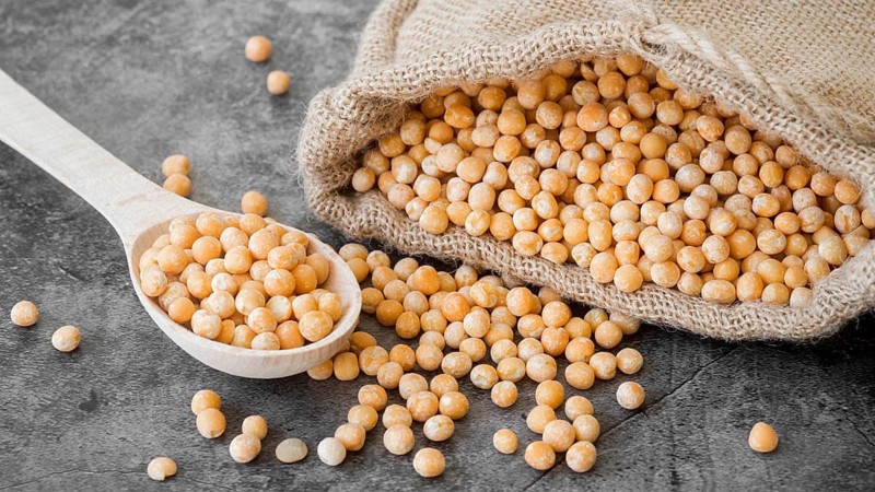 High angle chickpeas beans concept
