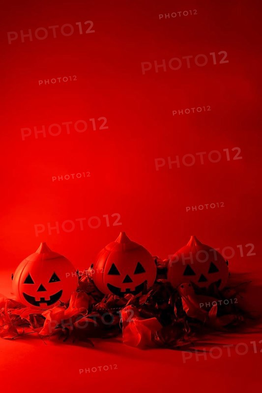 Halloween pumpkins on a red background