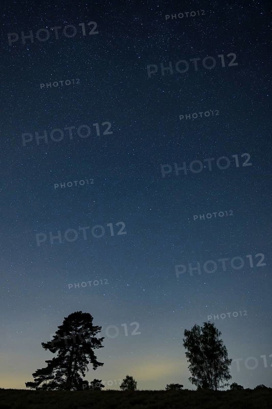 Starry sky in the evening