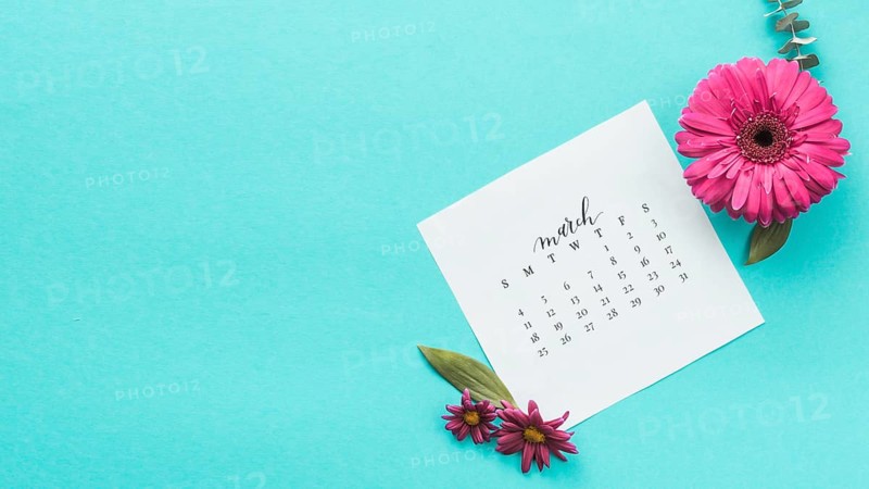 Gerbera flower with march calendar table