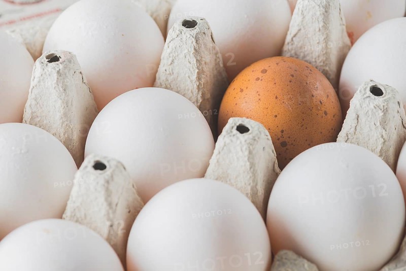 Brown white eggs rack