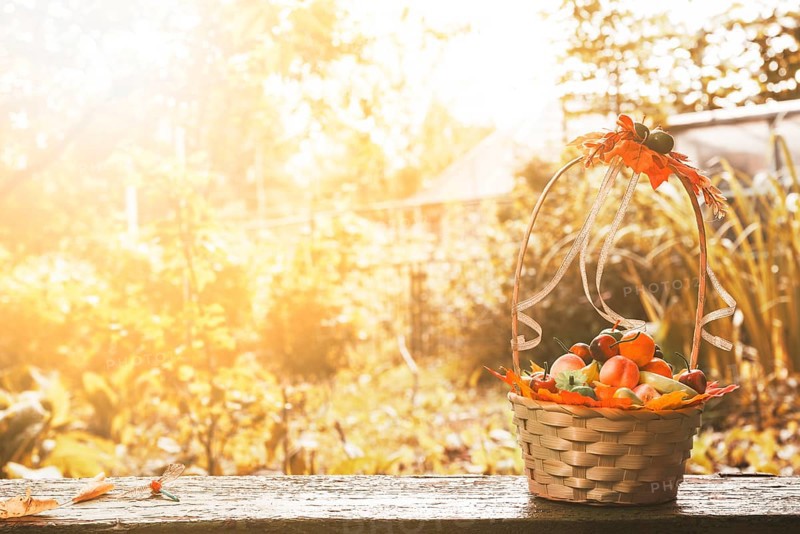 Wicker basket terrace