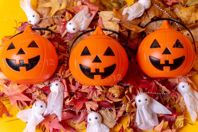 Halloween orange pumpkins on a background of yellow