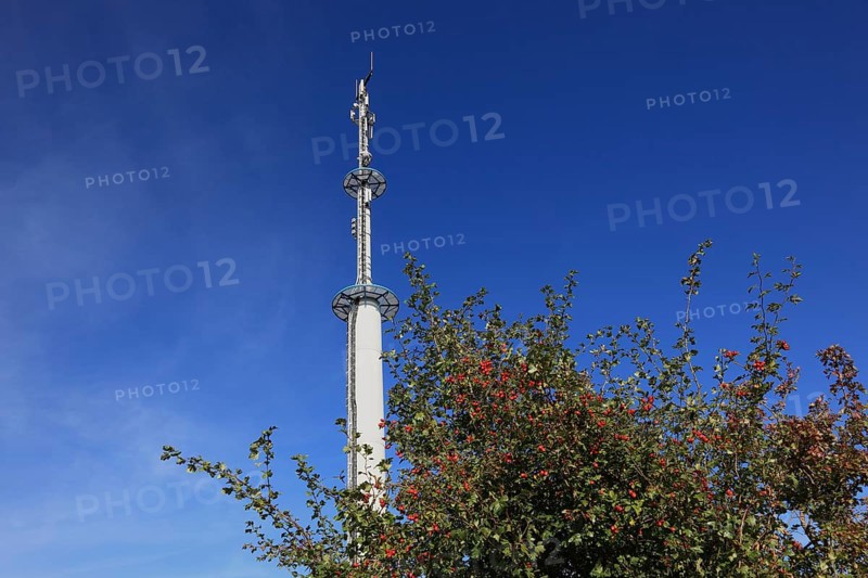 Transmission mast with various antennas for directional radio and mobile radio