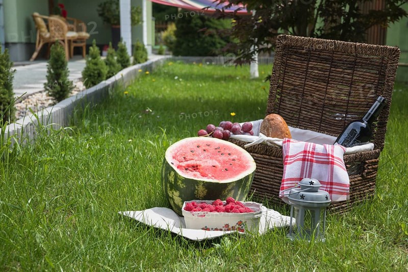 Picnic basket fruits green grass