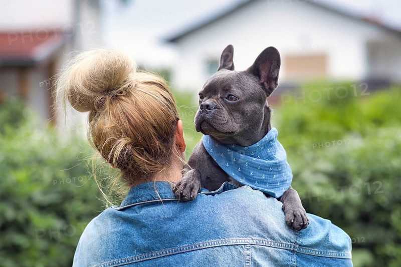 Woman holding French Bulldog dog over shoulder
