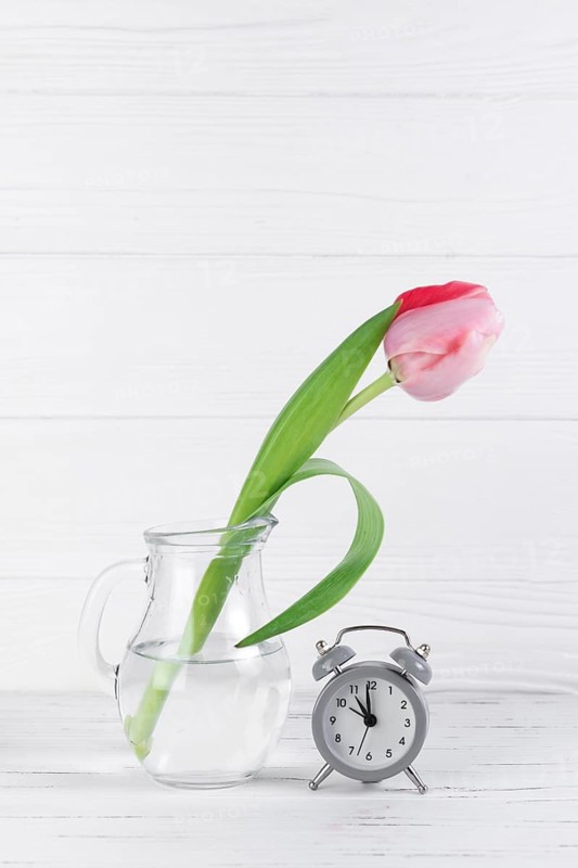 Gray alarm clock near transparent glass jug with pink tulip against white wooden desk