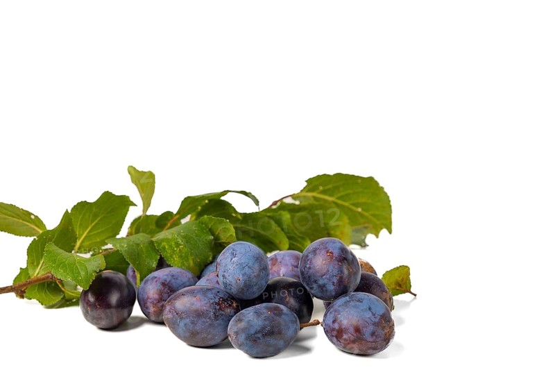 Several plums