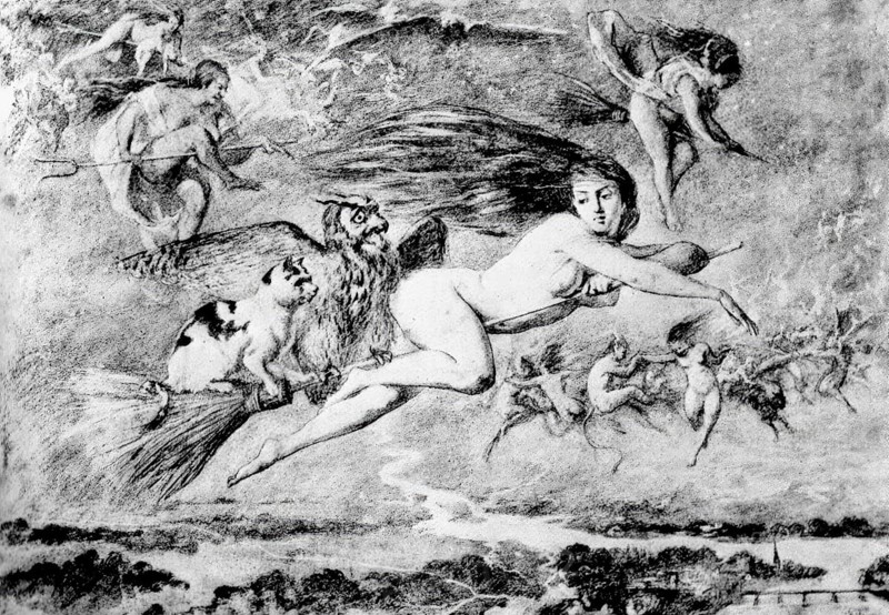 Flying witches with cats and birds of prey on their brooms