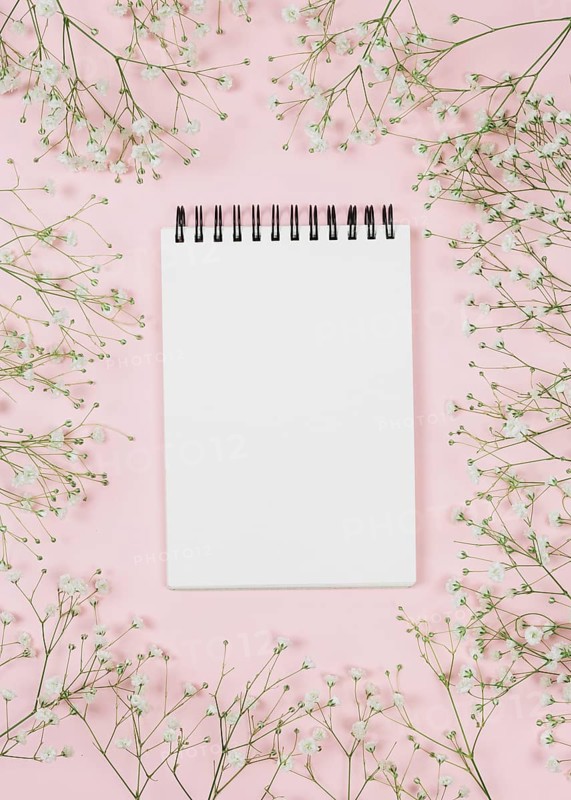 Blank spiral notepad surrounded with gypsophila flowers against pink background
