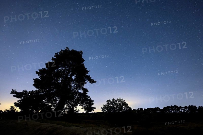 Starry sky in the evening
