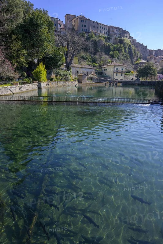 La Peschiera Fishpond