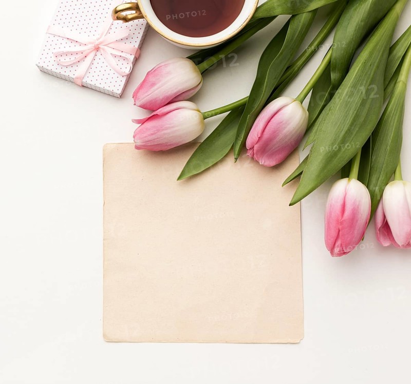 Tulips with gift greeting card