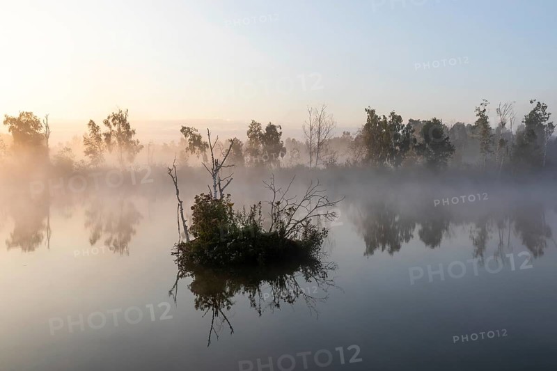 Bog lake