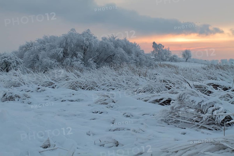 Winter on the Weser