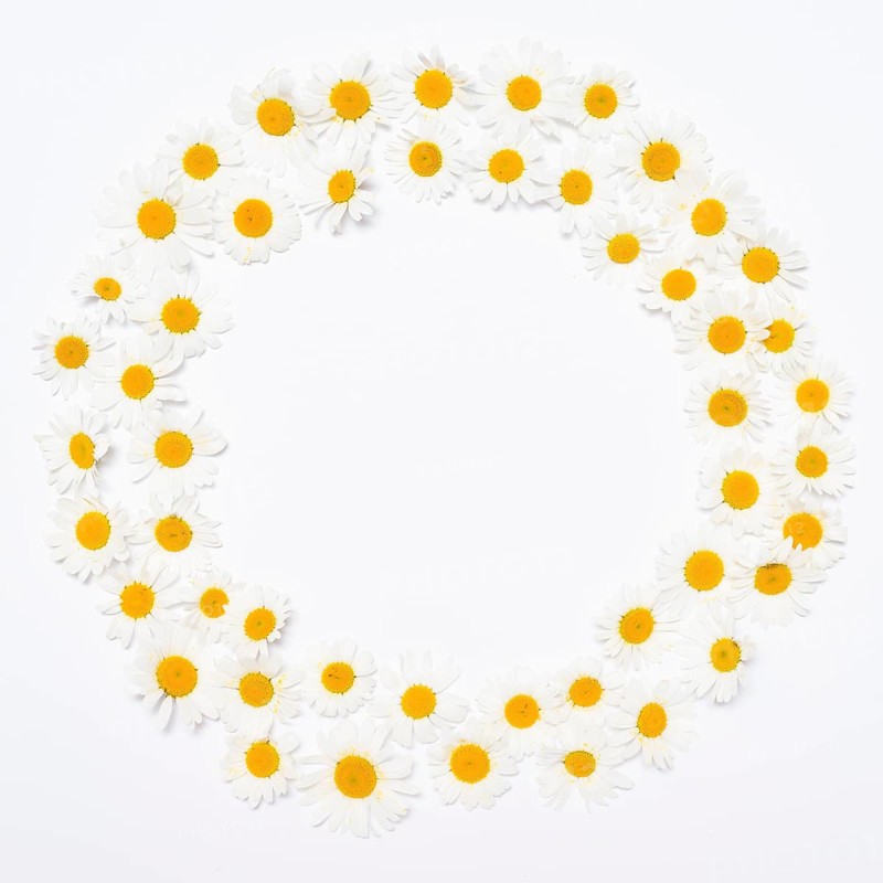 Wide flower wreath