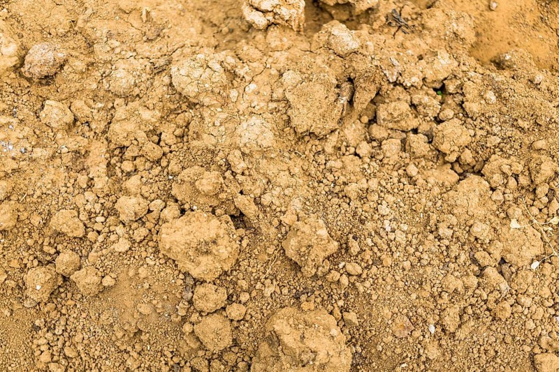 Soil