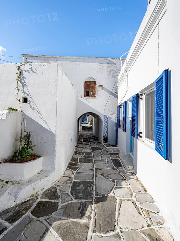 White Cycladic houses with blue doors and windows and flower pots