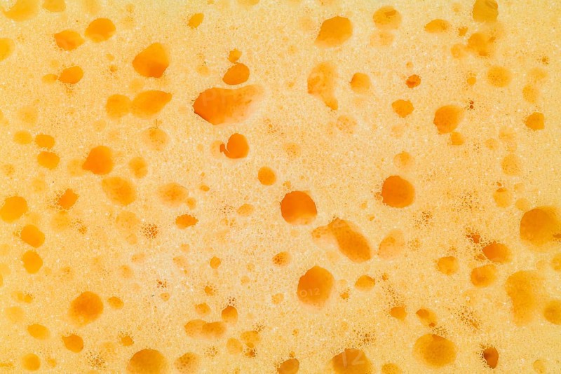 Sponge texture
