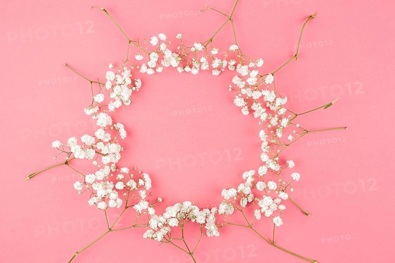 Circular shape made from baby s breath against peach background