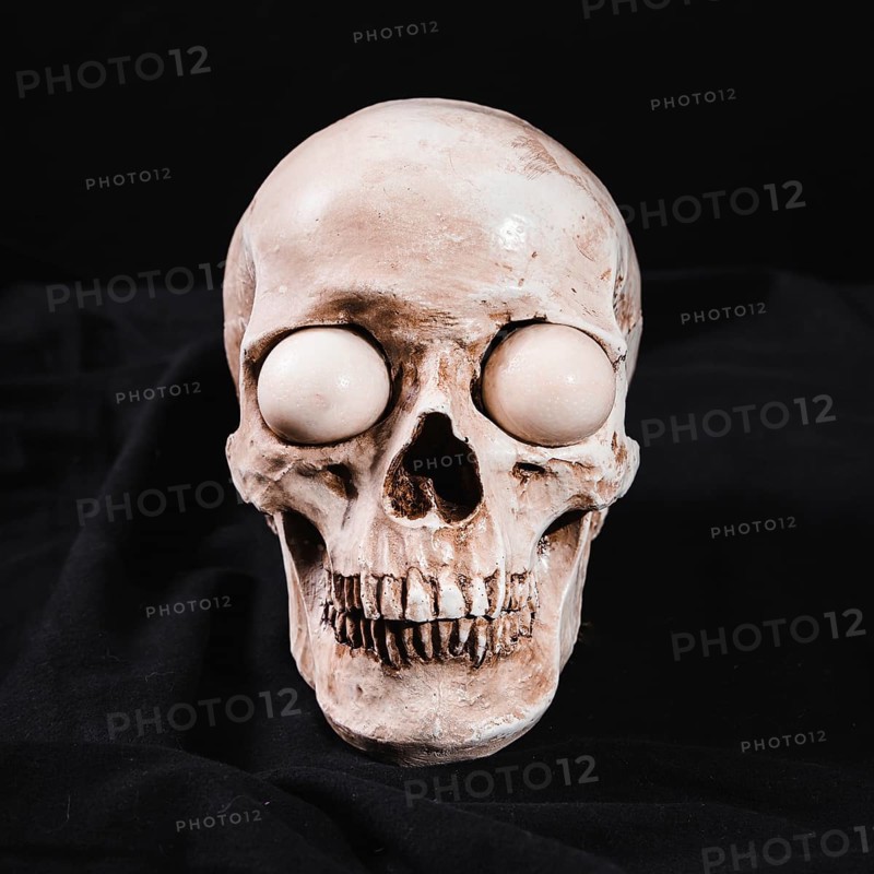 Creepy skull with white eyeballs