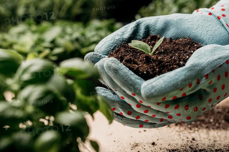 Side view hands with gloves holding soil plant