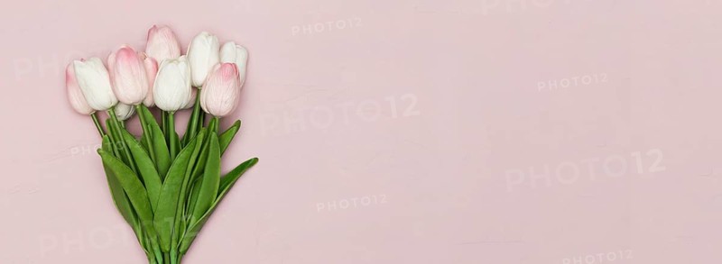 Tulips with copy space mothers day