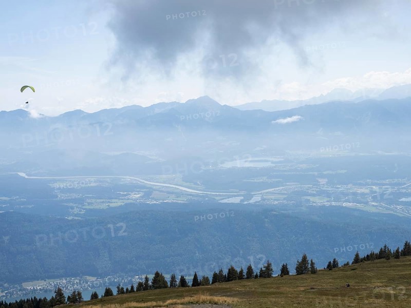 Paraglider