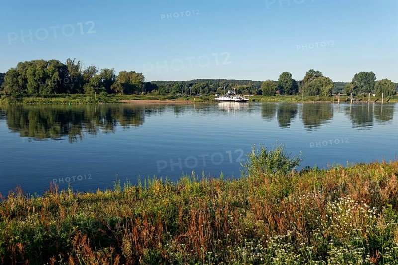 The Elbe near Darchau in the UNESCO Biosphere Reserve Elbe River Landscape