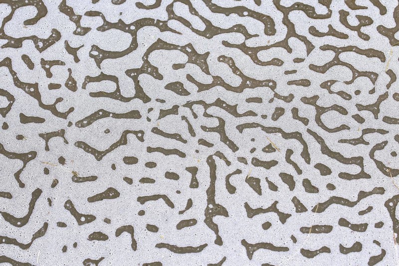 Sea foam
