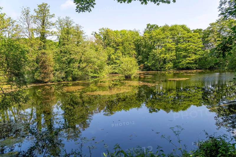 Still water in loam pond fishing lake
