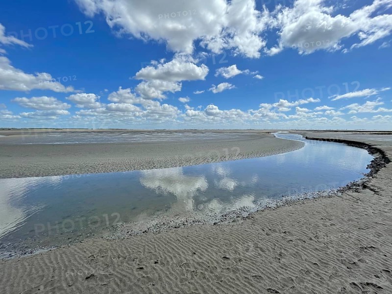Priel
