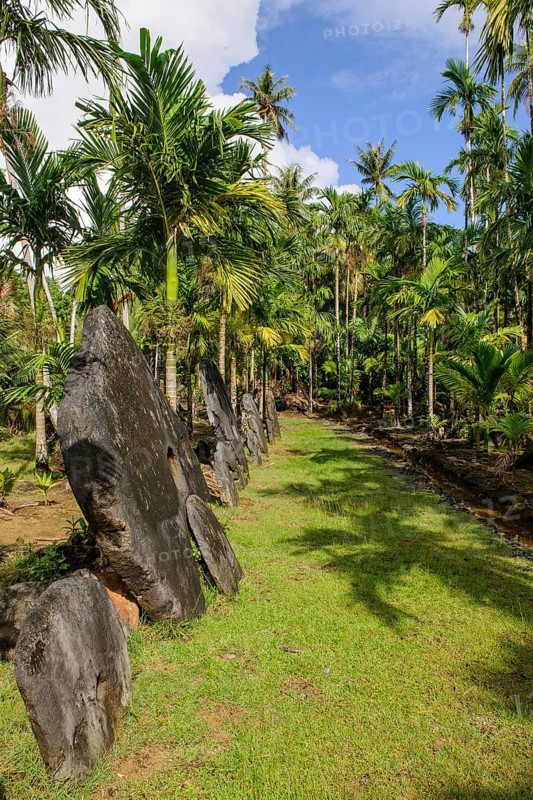 Oversized Large Giant Stone Coins Real Stone Money Stone Money Bank in Jungle of Yap Island