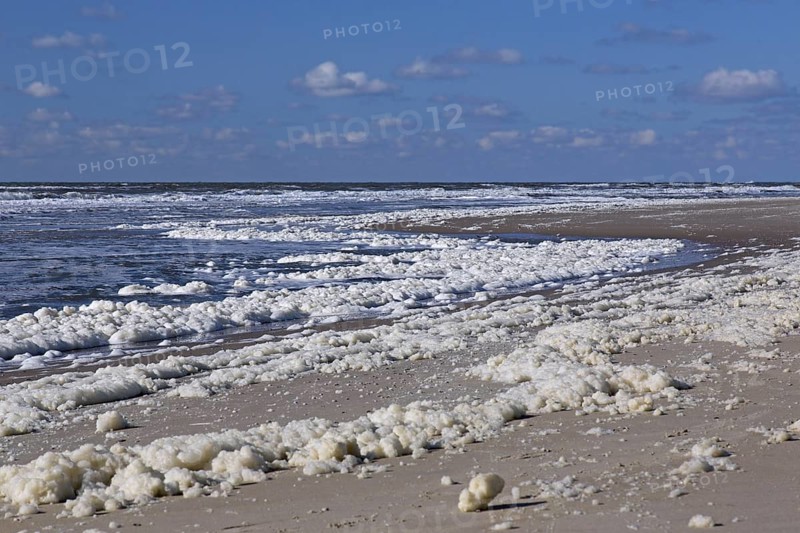 Sea foam