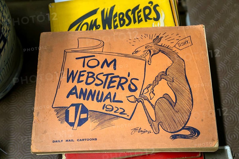 Daily Mail Cartoons Tom Webster's annual books 1922