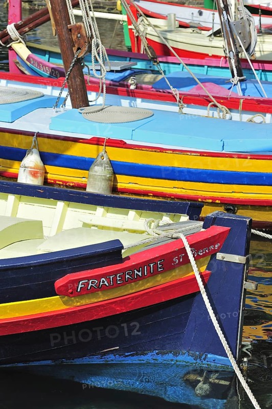 Traditional colourful fishing boats for fishing anchovies in the harbour at Collioure