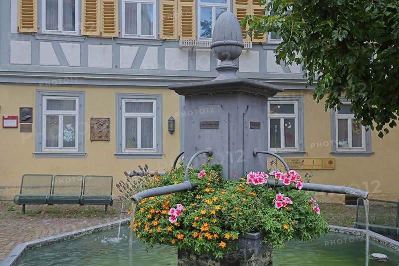 Fountain and Sebastian Kneipp House