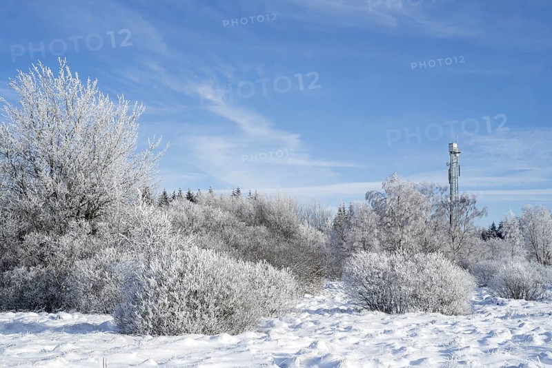Trees covered in white frost in winter and forest fire watchtower at the Hoge Venen