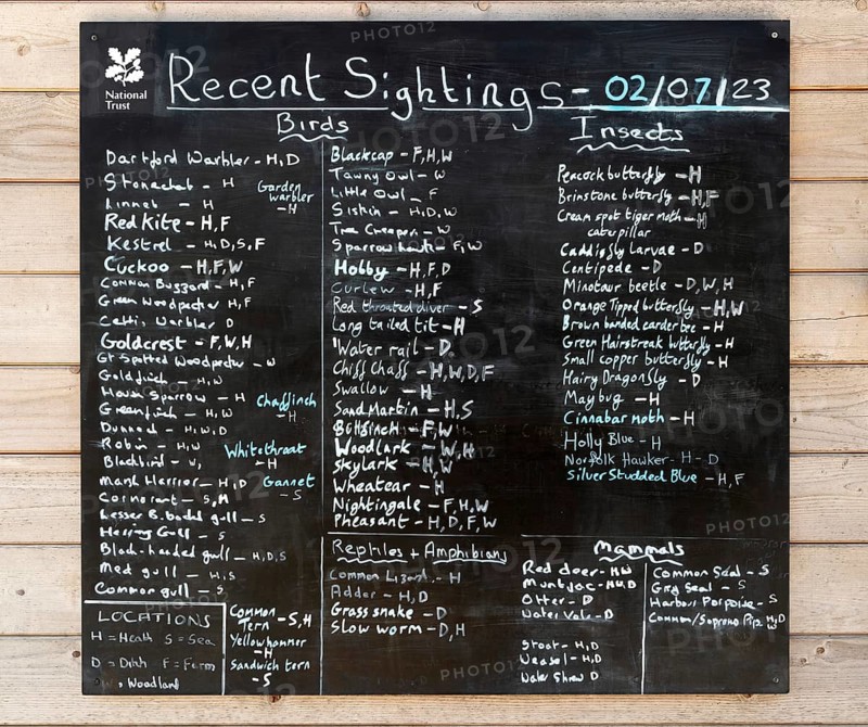 Recent bird and wildlife sightings litsed on blackboard