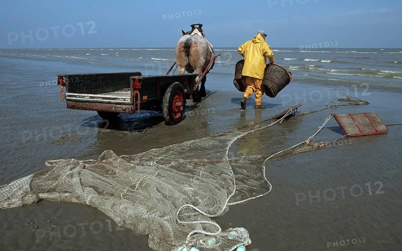 Shrimp trawler