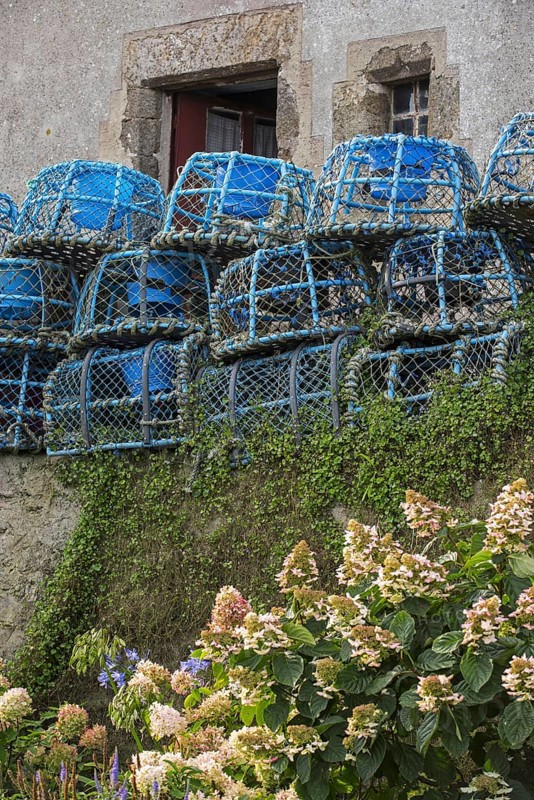 Blue lobster traps