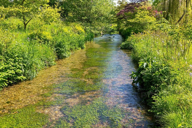 Chalk stream River Avon
