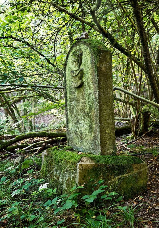 Monument zone Old Jewish cemetery in the forest