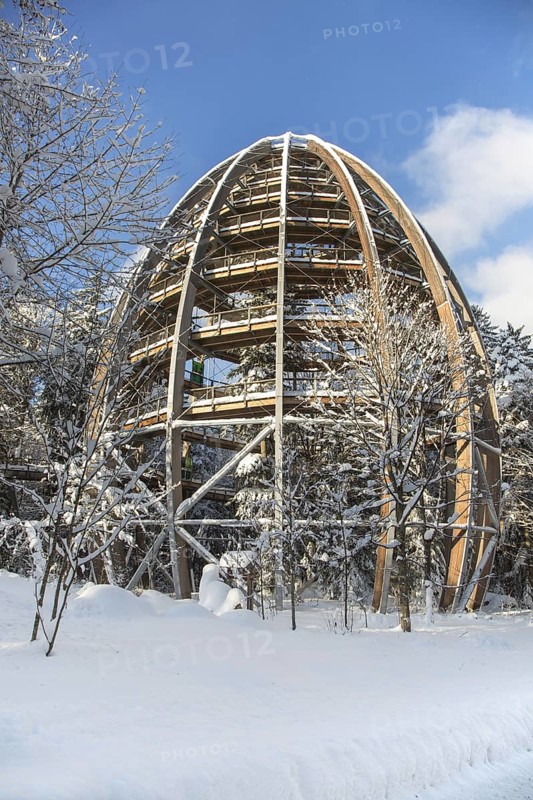Baumwipfelpfad in winter