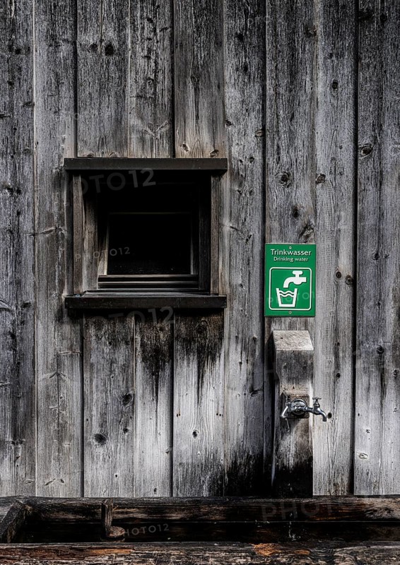 Drinking water on the wooden wall of a wooden shed