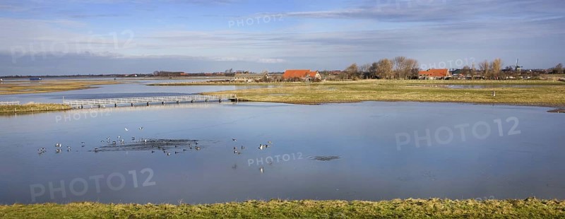 The Nature reserve Schouwen-Duiveland