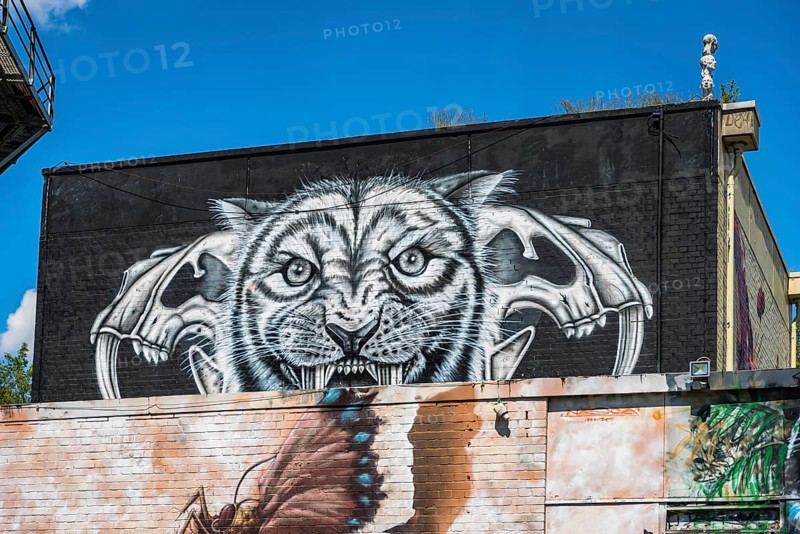 Graffiti on Teufelsberg