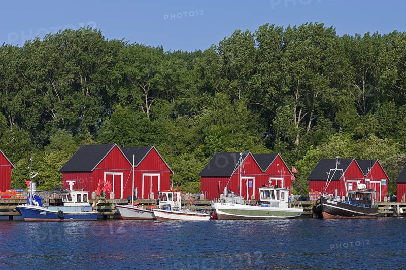 Fishing boats moored in front of red wooden huts in the harbour of Boltenhagen along the Baltic Sea