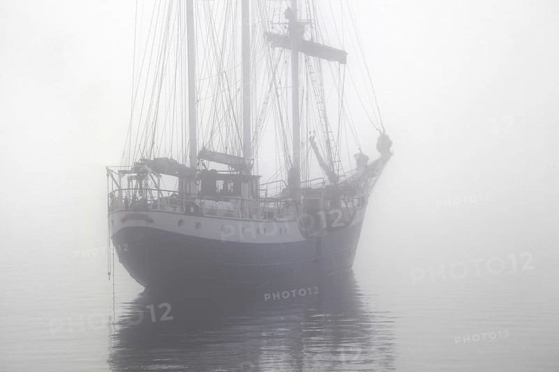 The tall ship